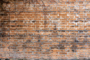 Duvar tuğla yaptı ve daha sonra beyaz boyalı. C vardır