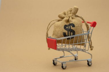 Bir Shopp para (Tay para) toplama para kavramı tasarrufu