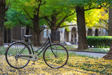 bisiklet park halinde, Ginkgo ağacının alanları arasında. Bu,