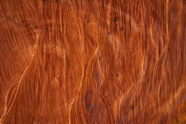 İçten kesilmiş olan ahşabın çekirdeği Ahşap dokusu