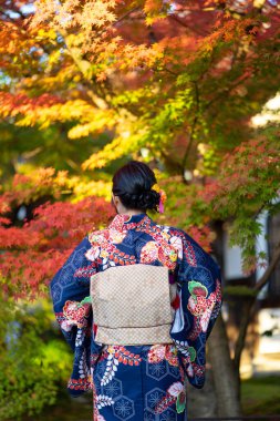 Kimono, Kyoto 'daki Fushimi Inari Tapınağı' ndaki kırmızı ahşap Tori Kapısı 'nda Japon kimonosu giyen bir Japon kızıdır. 
