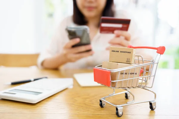 Compras Línea Con Carrito Compra Servicio Entrega Bolsas Utilizando Como — Foto de Stock