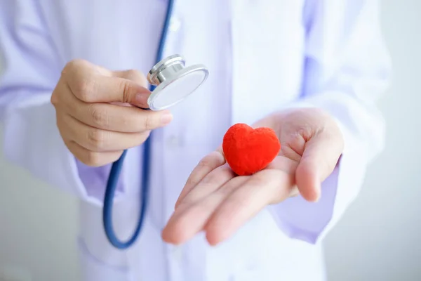 Heart check Doctor holding Red heart on hands at hospital office.Healthcare And Medical concept.
