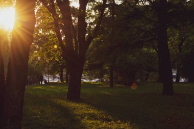 Central park, New York yaz akşamında. Güzel bir şehir manzarası