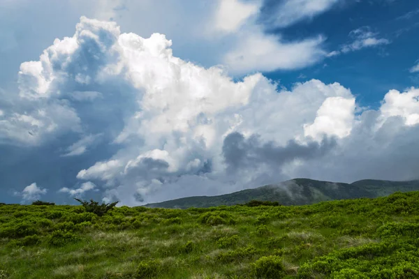 Mountainpeakll Zieloną Trawą Błękitne Niebo Fantastyczny Strzał — Darmowe zdjęcie stockowe