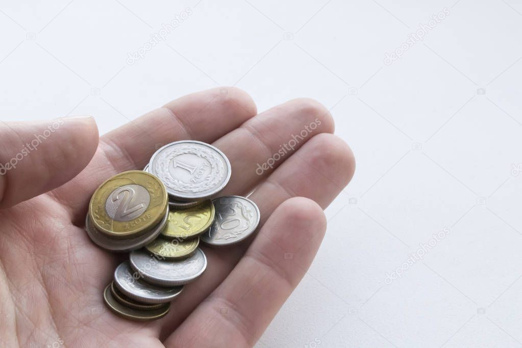 Polish zloty coins in hand on white background. Isolated