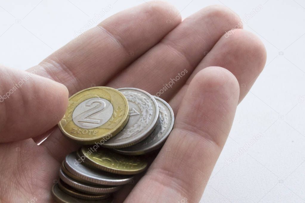 Polish zloty coins in man hand on white background. Isolated