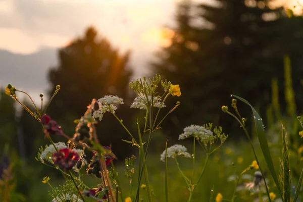 Apus Soare Fantastic Satul Munte Calm Fundal Colorat Munți Sălbatici — Fotografie, imagine de stoc