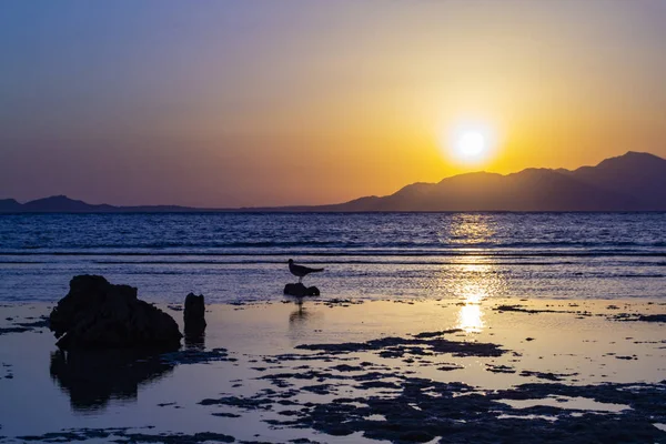 Nascer Sol Sobre Ilha Tiran Arábia Saudita — Fotografia de Stock