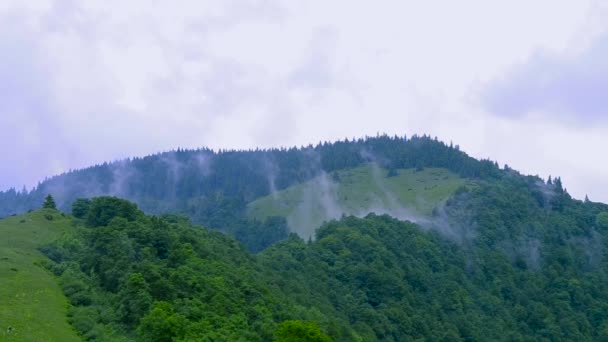 Fog Rain Carpathian Mountains Ukraine — Stock Video