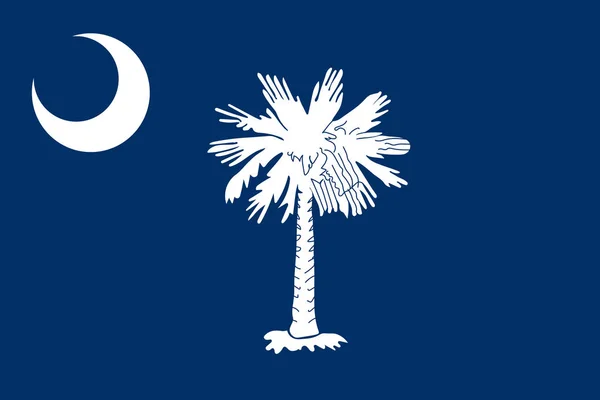 Bandera Vectorial Carolina Del Sur Ilustración Vectorial Estados Unidos América — Vector de stock