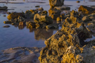 Doğal deniz manzarası. Mercan resifleri Sharm El Sheikh, Mısır 