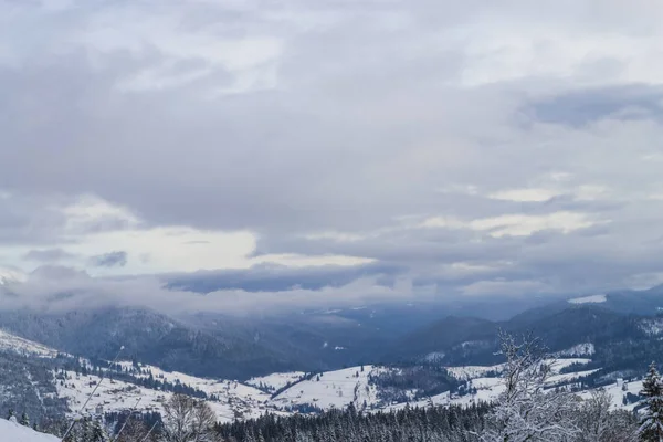 Wunderschönes Winterpanorama Den Karpaten Wintersaison Schnee Auf Den Bergen — Stockfoto
