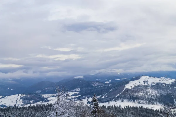 Wunderschönes Winterpanorama Den Karpaten Wintersaison Schnee Auf Den Bergen — Stockfoto