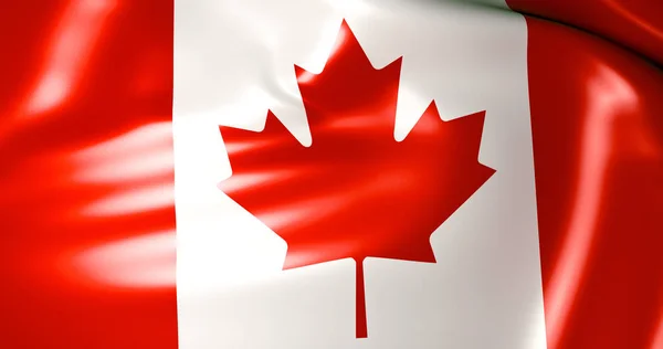 风中飘扬着加拿大国旗 — 图库照片