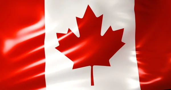 风中飘扬着加拿大国旗 — 图库照片