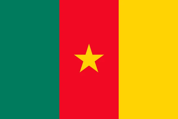 Bandeira Nacional Dos Camarões Ilustração Vetorial Yaounde — Vetor de Stock