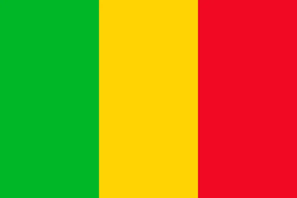 Bandeira nacional do Mali. Ilustração vetorial. Bamako. — Vetor de Stock
