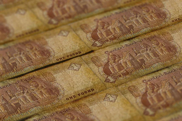 Geld aus Ägypten. Hintergrund ägyptisches Pfund — Stockfoto