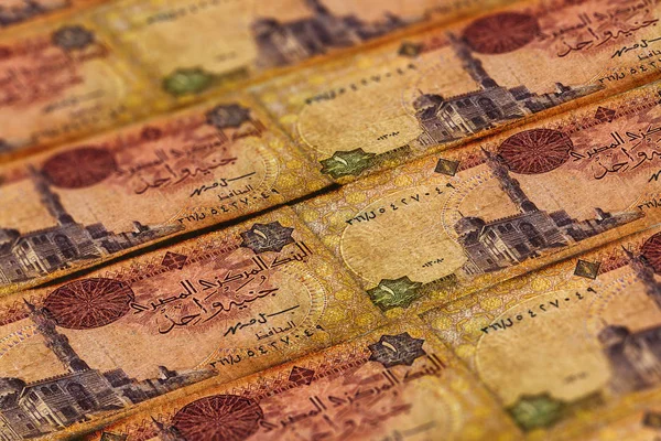 Гроші Єгипту. Єгипетський фунт фону. — стокове фото