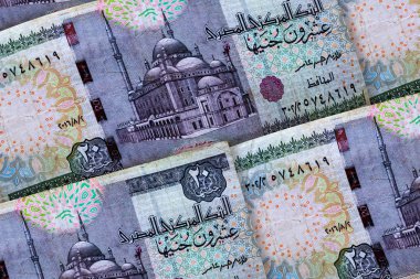 Mısır'ın parası. Mısır pound arka plan.