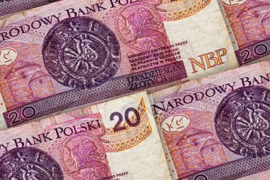 Closeup Lehçe zloti banknotlar arka plan. Plnpattern.