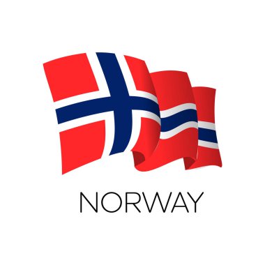 Norveç vektör bayrağı. Norveç bayrağını sallıyor. Oslo