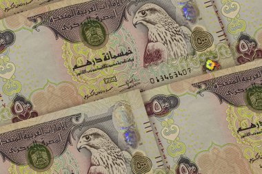 Birleşik Arap Emirlikleri dirhem arka plan. 500 Aed deseni