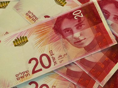 İsrail 'in yeni şekelleri. İsrail 'in parası, iş geçmişi. Tel-A