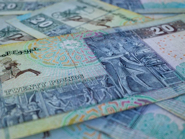 Egyiptomi font. Egyiptomi pénz bankjegyek, pénzügyi háttér. — Stock Fotó