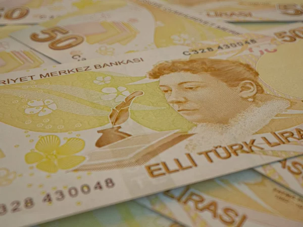 Türk parası. Türkiye 'nin para ticareti geçmişi. Türk L 'si — Stok fotoğraf