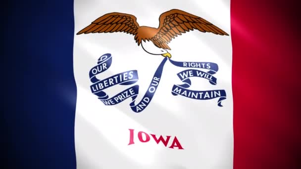 Drapeau État Iowa Les États Unis Amérique Des Images Qualité — Video