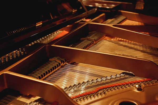 Tuning Your Piano. Close-up view of hammers, strings and pins inside the piano. Musical instruments