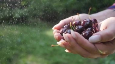 Bakir yağmur altında tutan eller Close-up. Sağlıklı beslenme