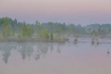Bir bahar erken sabah güneşin doğuşunu sırasında bir güzel bataklık manzara Letonya, Kuzey Avrupa.