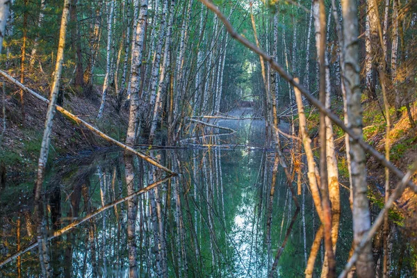 Bagno Piękny Krajobraz Podczas Sunrise Rano Wczesną Wiosną Łotwie Europie — Zdjęcie stockowe