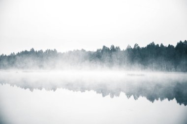 Gündoğumu sırasında puslu bir Bataklığı'nın güzel, renkli bir manzara. Atmosferik, sakin sulak sahne ile Letonya, Kuzey Avrupa Güneş.