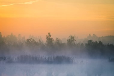 Gündoğumu sırasında puslu bir Bataklığı'nın güzel, renkli bir manzara. Atmosferik, sakin sulak sahne ile Letonya, Kuzey Avrupa Güneş.