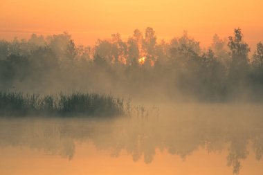 Gündoğumu sırasında puslu bir Bataklığı'nın güzel, renkli bir manzara. Atmosferik, sakin sulak sahne ile Letonya, Kuzey Avrupa Güneş.