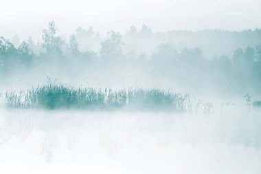 Gündoğumu sırasında puslu bir Bataklığı'nın güzel, renkli bir manzara. Atmosferik, sakin sulak sahne ile Letonya, Kuzey Avrupa Güneş.