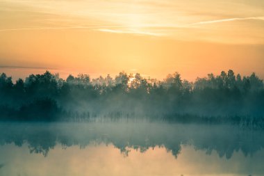 Gündoğumu sırasında puslu bir Bataklığı'nın güzel, renkli bir manzara. Atmosferik, sakin sulak sahne ile Letonya, Kuzey Avrupa Güneş.