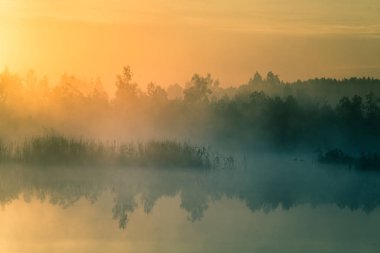 Gündoğumu sırasında puslu bir Bataklığı'nın güzel, renkli bir manzara. Atmosferik, sakin sulak sahne ile Letonya, Kuzey Avrupa Güneş.
