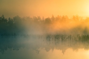 Gündoğumu sırasında puslu bir Bataklığı'nın güzel, renkli bir manzara. Atmosferik, sakin sulak sahne ile Letonya, Kuzey Avrupa Güneş.
