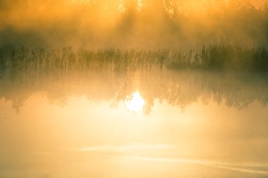 Gündoğumu sırasında puslu bir Bataklığı'nın güzel, renkli bir manzara. Atmosferik, sakin sulak sahne ile Letonya, Kuzey Avrupa Güneş.