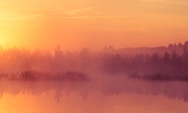 Bir güzel, pembe gündoğumu ower bataklık. Sulak alanlar, mor puslu ortamda güneş yükseliyor. Letonya, Northertn Avrupa