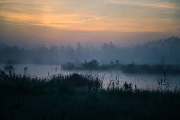 A beautiful, colorful landscape of a misty swamp during the sunrise. Atmospheric, tranquil wetland scenery with sun in Latvia, Northern Europe.