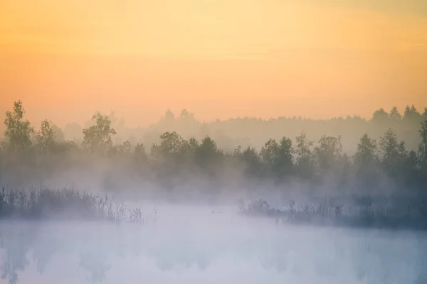 Een Mooie Kleurrijke Landschap Van Een Mistige Moeras Tijdens Sunrise — Stockfoto