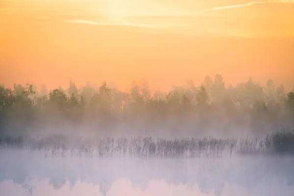 日の出中に霧の沼の美しい カラフルな風景 ラトビア 北ヨーロッパの太陽と大気 静かな湿原の風景 — ストック写真