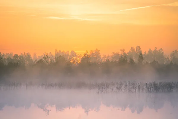 日の出中に霧の沼の美しい カラフルな風景 ラトビア 北ヨーロッパの太陽と大気 静かな湿原の風景 — ストック写真