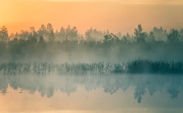 Hermoso Colorido Paisaje Pantano Brumoso Durante Amanecer Paisajes Humedales Atmosféricos —  Fotos de Stock